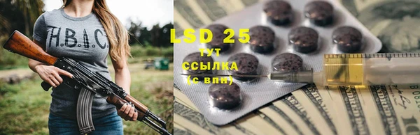 сатива Лихославль
