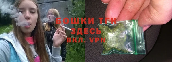 сатива Лихославль