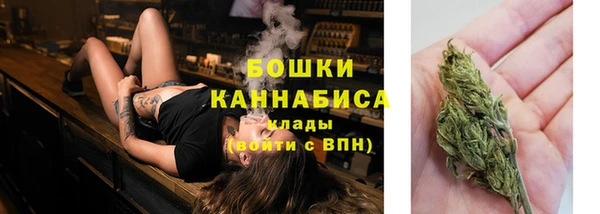 стаф Липки