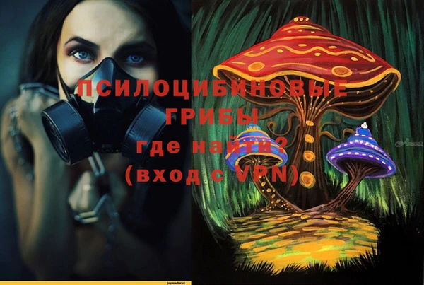 сатива Лихославль