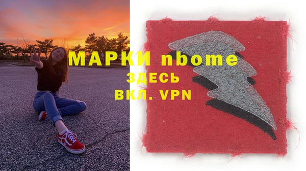 стаф Липки