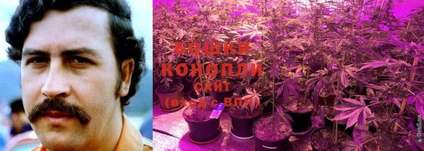 стаф Липки