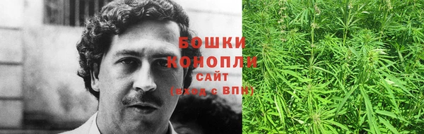 стаф Липки