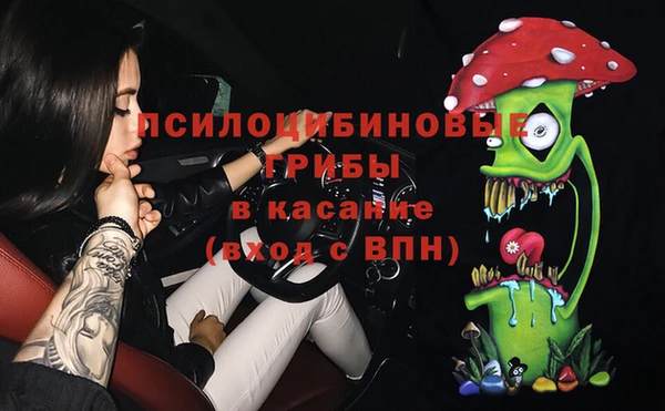 сатива Лихославль