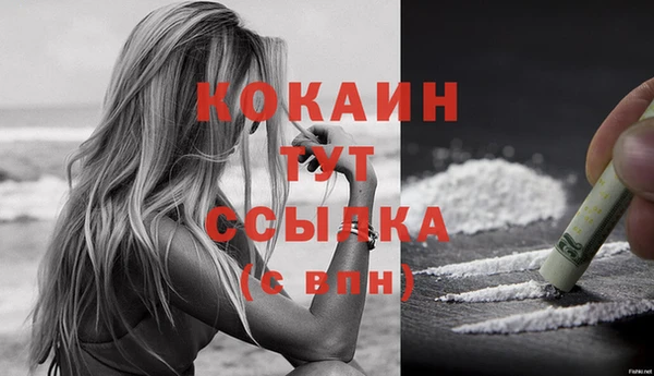 стаф Липки