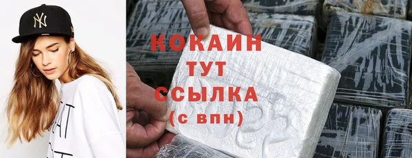 стаф Липки