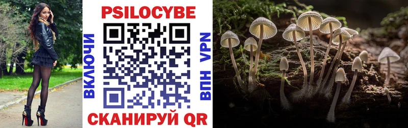 Купить  Онега  Псилоцибиновые грибы мицелий 