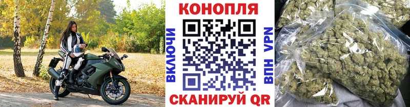 Купить где  Онега  Бошки марихуана индика 